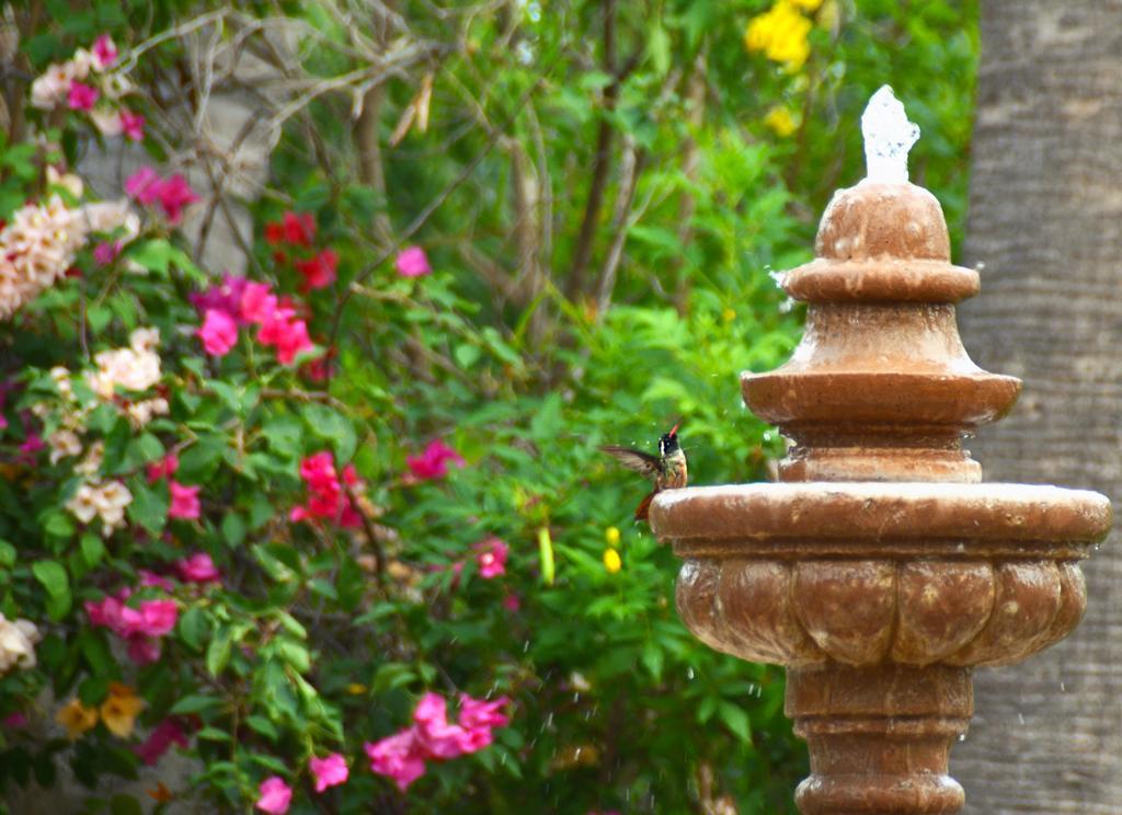 Villa Del Faro Boca de la Vinorama エクステリア 写真