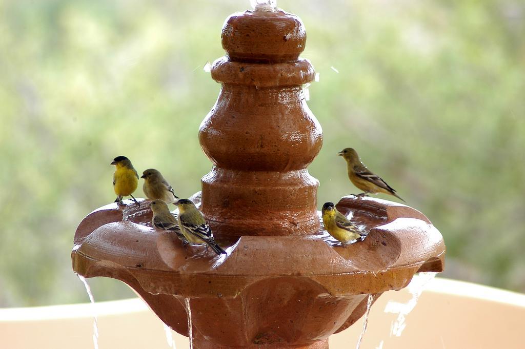 Villa Del Faro Boca de la Vinorama エクステリア 写真
